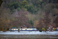 Henley-on-Thames - 26 December 2012