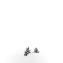 Simplicity / Trees under some fresh snow...
