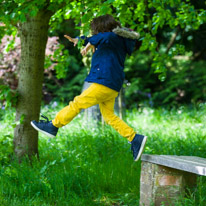 Henley-on-Thames - 25 May 2013 / Oscar jumping on the branches of a tree...