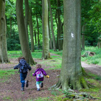 Greys Court - 23 June 2013 / Alana and Oscar running to the next tree...