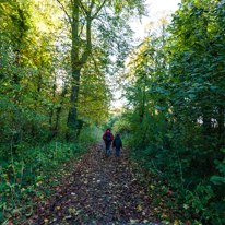 Basildon Park - 10 November 2013 / Oscar and Jess walking in the woods