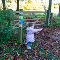 Basildon Park - 10 November 2013 / Alana deciding the way to follow