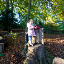 Basildon Park - 10 November 2013 / This teddy bear was actually screwed on this tree