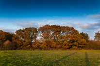 Maidensgrove - 23 November 2013 / Beautiful english countryside