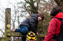 Hambleden - 31 December 2013 / Oscar climbing over the fence