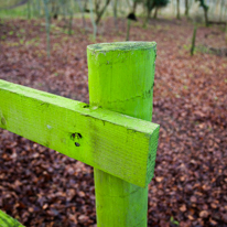 Turville - 02 January 2014 / A green fence
