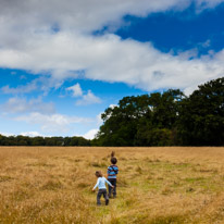 Greys Court - 17 August 2014 / Oscar and Alana playing in the long grass
