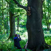 Greys Court - 17 August 2014 / This guy was drawing the huge mushroom which was killing this tree... we chat with him