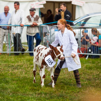 Henley-on-Thames - 13 September 2014 / Presenting the best of british rural life and animals