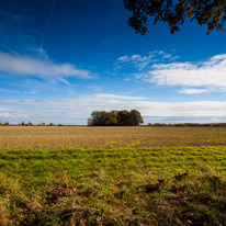 Cookley Green - 25 October 2014 / Fields and blue sky
