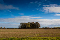 Cookley Green - 25 October 2014 / Fields and blue sky