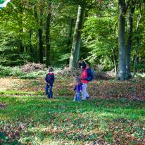 Cookley Green - 25 October 2014 / The family walking in the woods