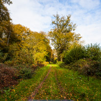 Cookley Green - 25 October 2014 / Footpath in the woods
