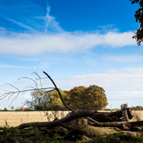 Cookley Green - 25 October 2014 / Blue sky