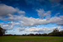 Cookley Green - 25 October 2014 / More blue sky