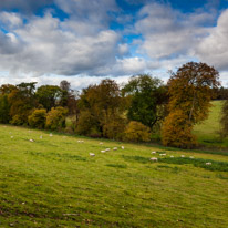 Cookley Green - 25 October 2014 / British Countryside