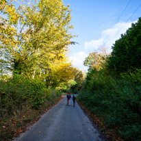 Cookley Green - 25 October 2014 / Footpath