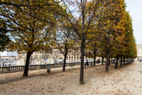 Paris - 30 October 2014 / Jardin du Luxembourg