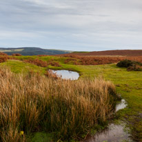 Brecon - 22 November 2014 / Next day we went to the Black Mountains