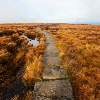 Brecon - 22 November 2014 / Bog on the top of the Black mountains