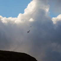 Brecon - 22 November 2014 / Gliders