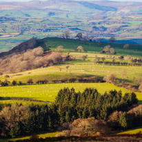 Brecon - 22 November 2014 / Welsh countryside