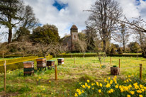 Hinton Ampner - 27 March 2016 / beehives