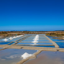 Guerande - 12 August 2016 / Salt marshes near Guerande
