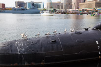 Baltimore - 06 November 2016 / Seagulls on a submarine